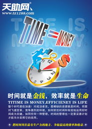 上海網(wǎng)頁制作與市場營銷策劃 睿達網(wǎng)絡的專業(yè)之道